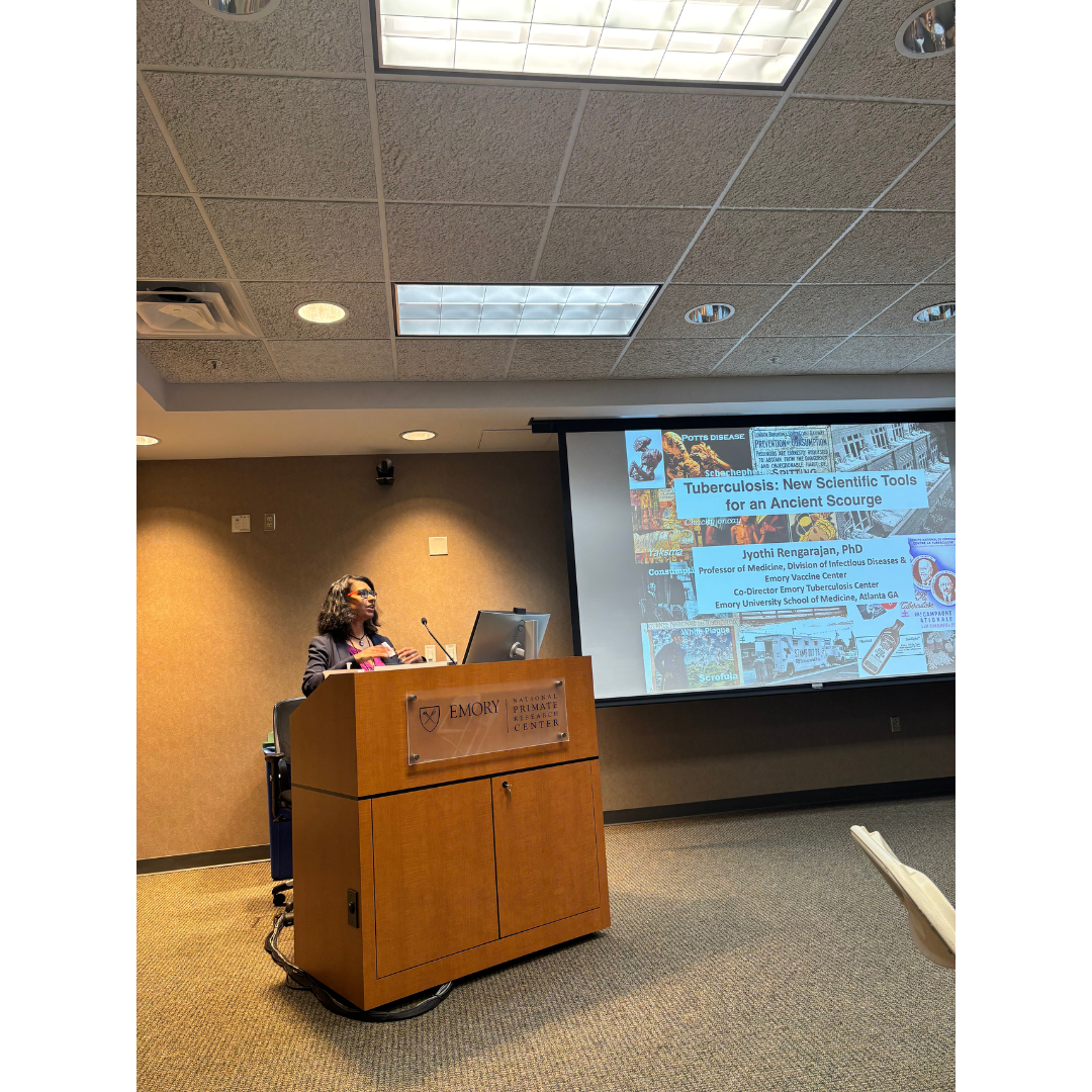 No Preview
